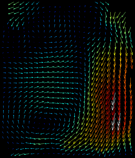 PIV results at L/D = 0.2